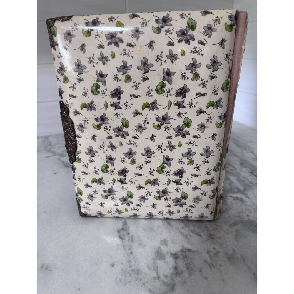 Antique Victorian Celluloid Hinged Photo Album - Picture 7 of 15